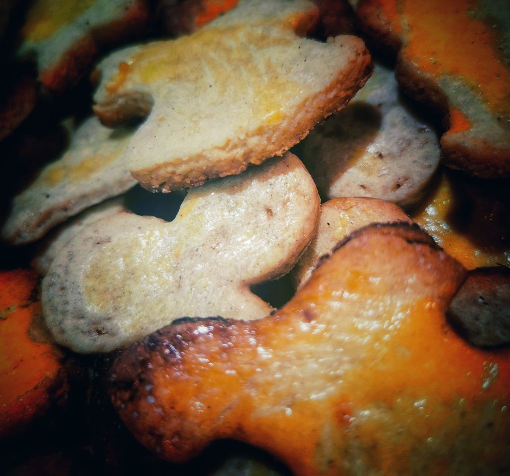 Des biscuits de Noël dans leur boîte