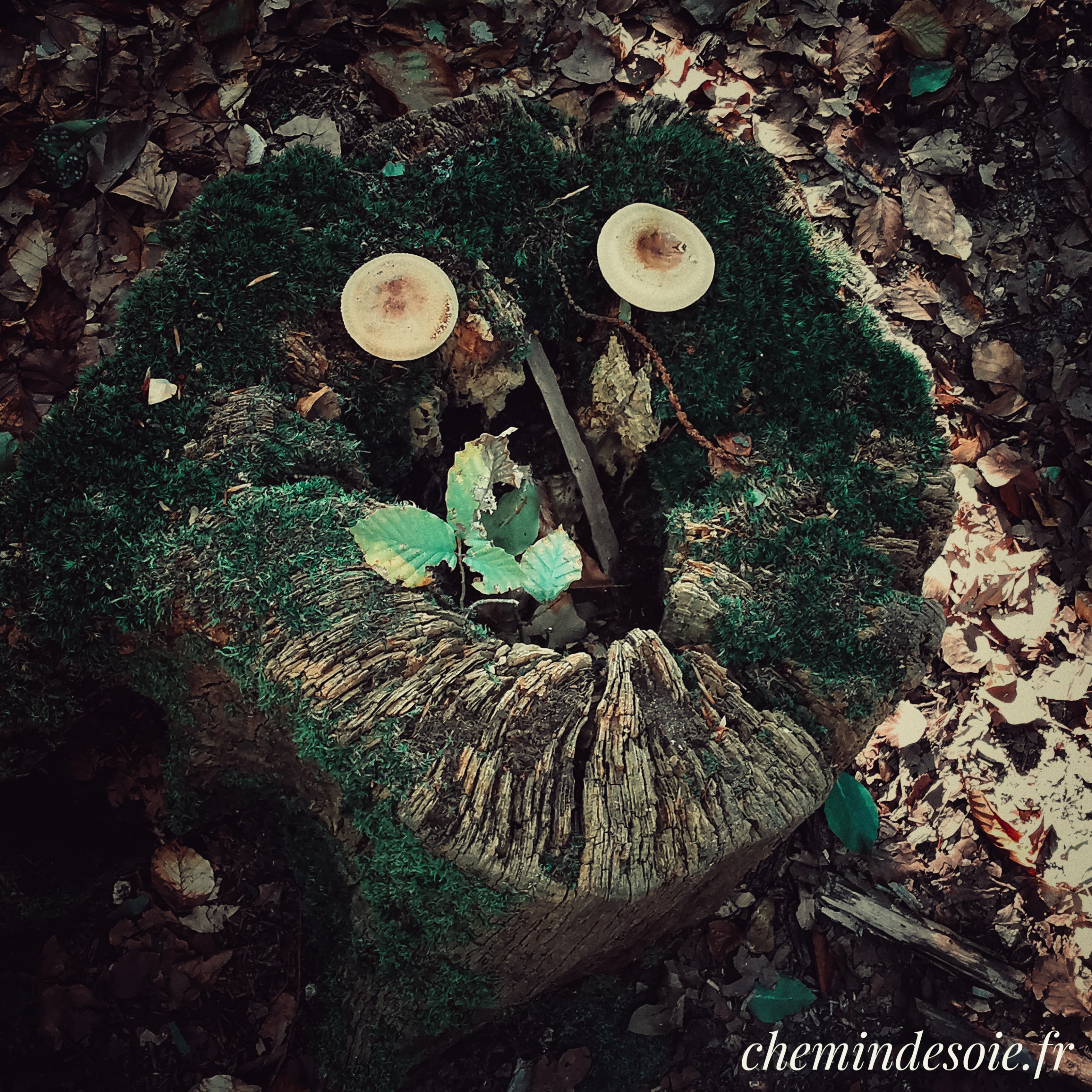 Sourire d&rsquo;automne
